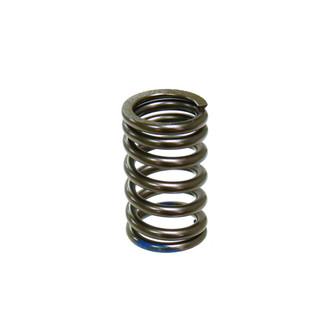 Psychic Motorsports® - Intake Valve Springs