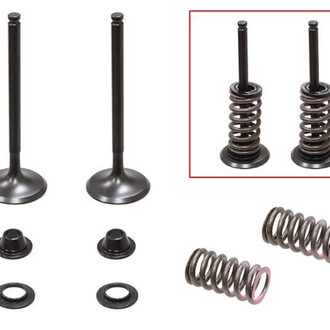 Psychic Motorsports® - Exhaust Valve Kit