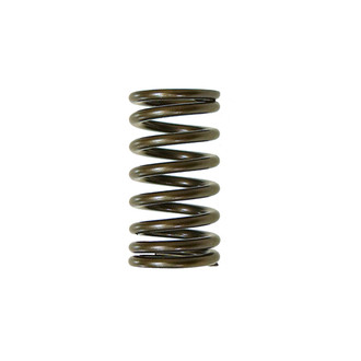 Psychic Motorsports® - Exhaust Valve Spring