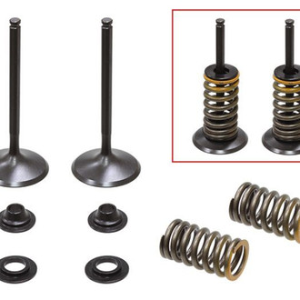 Psychic Motorsports® - Intake Valve Kit