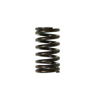 Psychic Motorsports® - Intake Valve Spring