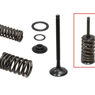 Psychic Motorsports® - Exhaust Valve Kit