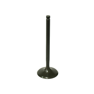 Psychic Motorsports® - Racing Intake Valve