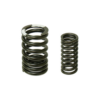 Psychic Motorsports® - Intake/Exhaust Valve Springs