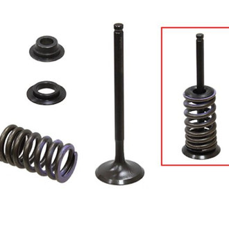 Psychic Motorsports® - Exhaust Valve Kit