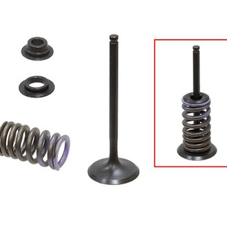 Psychic Motorsports® - Intake Valve Kit