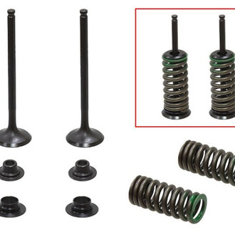 Psychic Motorsports® - Exhaust Valve Kit