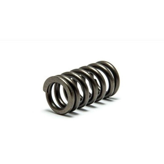 Psychic Motorsports® - Exhaust Valve Spring