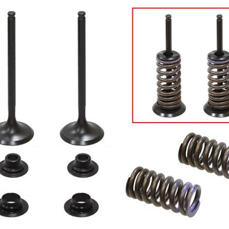 Psychic Motorsports® - Intake Valve Kit