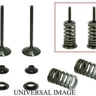 Psychic Motorsports® - Exhaust Valve Kit