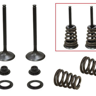 Psychic Motorsports® - Intake Valve Kit