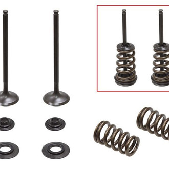 Psychic Motorsports® - Exhaust Valve Kit