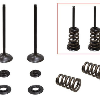 Psychic Motorsports® - Intake Valve Kit