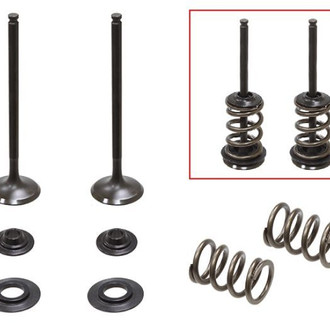 Psychic Motorsports® - Exhaust Valve Kit