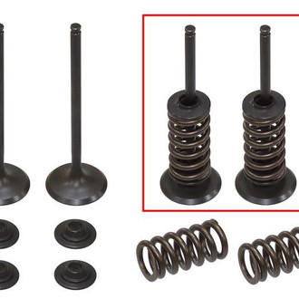Psychic Motorsports® - Intake Valve Kit