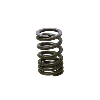 Psychic Motorsports® - Intake Valve Spring