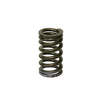 Psychic Motorsports® - Exhaust Engine Valve