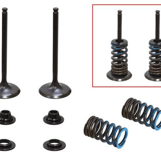 Psychic Motorsports® - Intake Valve Kit