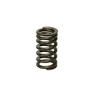 Psychic Motorsports® - Intake Engine Valve