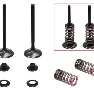 Psychic Motorsports® - Exhaust Valve Kit