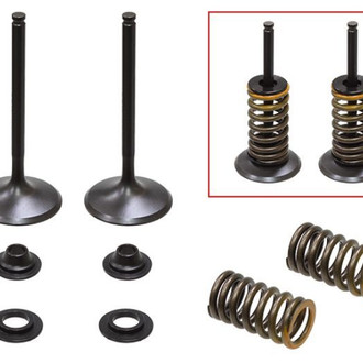 Psychic Motorsports® - Intake Valve Kit