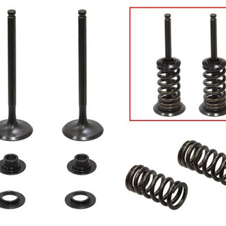 Psychic Motorsports® - Exhaust Valve Kit