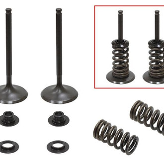 Psychic Motorsports® - Intake Valve Kit
