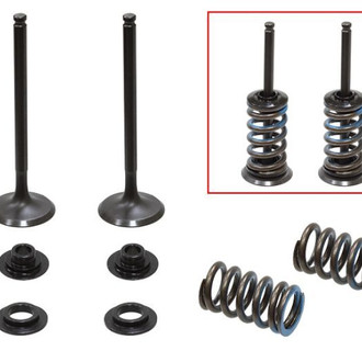 Psychic Motorsports® - Exhaust Valve Kit