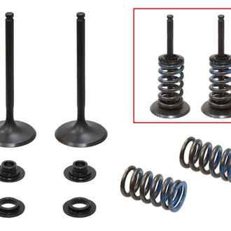 Psychic Motorsports® - Intake Valve Kit