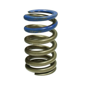 Psychic Motorsports® - Exhaust/Intake Valve Spring
