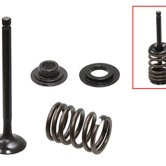 Psychic Motorsports® - Exhaust Valve Kit