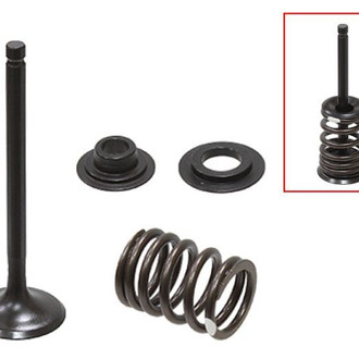 Psychic Motorsports® - Intake Valve Kit