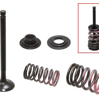 Psychic Motorsports® - Exhaust Valve Kit