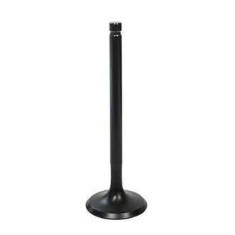 Psychic Motorsports® - Racing Intake Valve