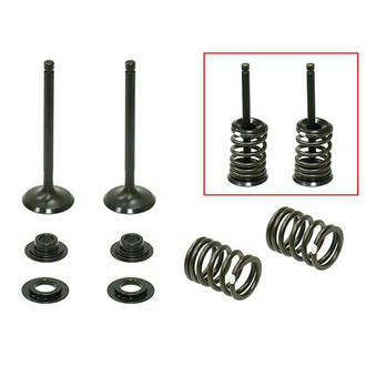 Psychic Motorsports® - Intake Valve Kit