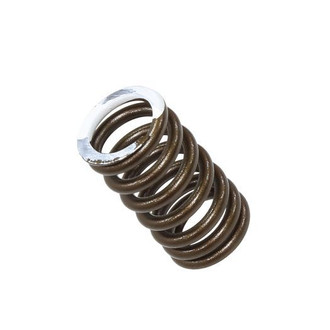 Psychic Motorsports® - Exhaust Valve Spring