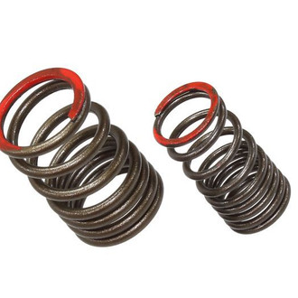 Psychic Motorsports® - Exhaust Valve Spring