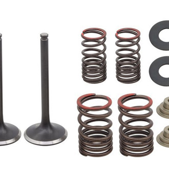 Psychic Motorsports® - Exhaust Valve Kit