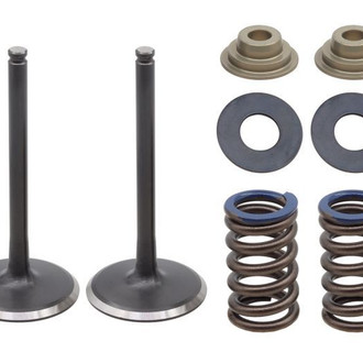 Psychic Motorsports® - Exhaust Valve Kit