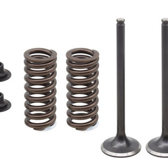 Psychic Motorsports® - Exhaust Valve Kit