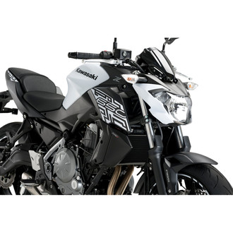 Puig® - Carbon Look Radiator Side Panel Kit