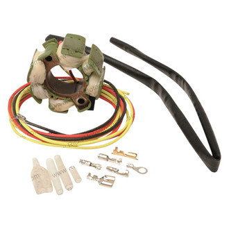 Rick's Motorsport Electrics® - Hot Shot Series Stator