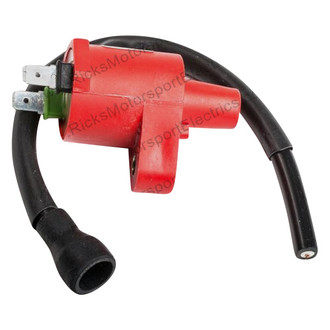 Rick's Motorsport Electrics® - Ignition Coil