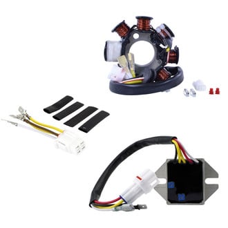 RMStator® - 100W AC to DC Conversion Kit Stator + Regulator