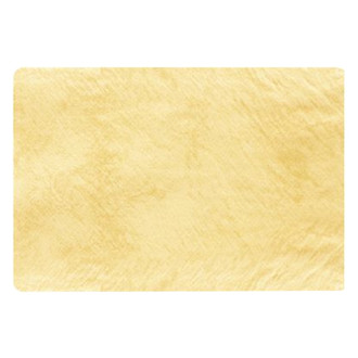 SM Arnold® - Water Sprite™ SPEEDYDRIER™ 3.06 sq. ft. PVA Drying Cloth in Reusable Plastic Tube