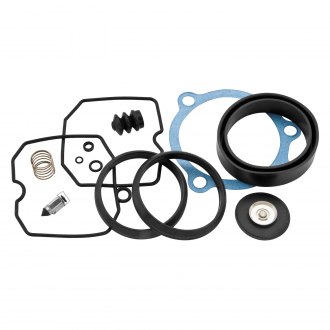 sportster 1200 carburetor rebuild kit