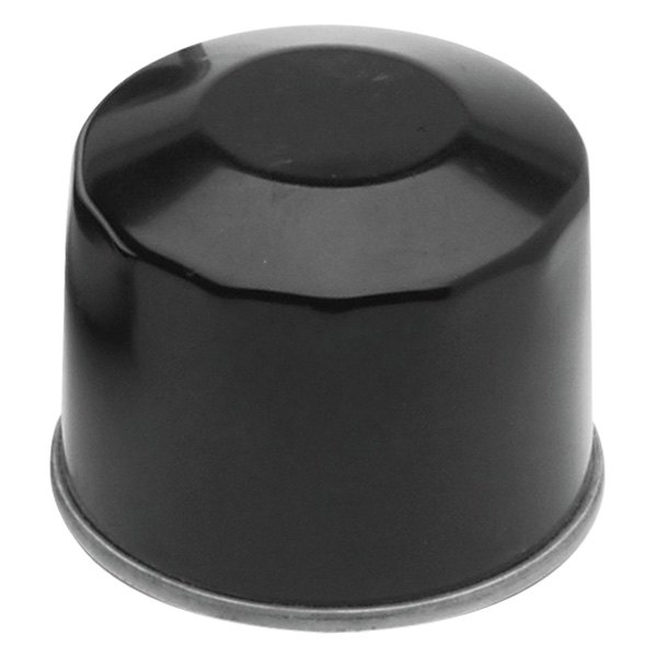 Twin Power® - Oil Filter