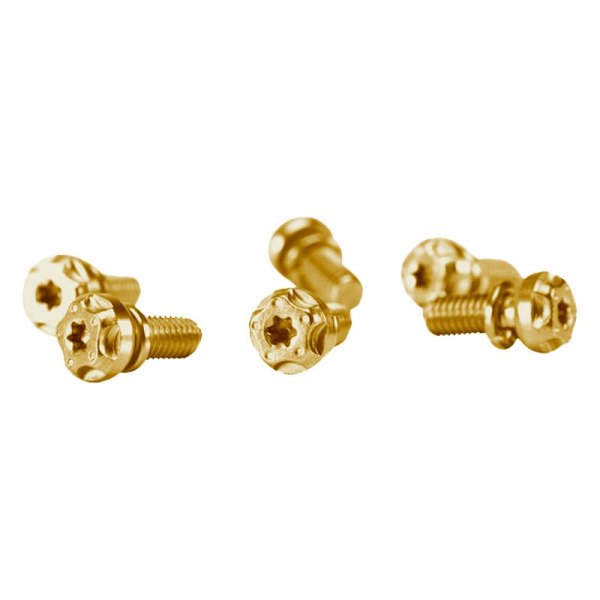 Two Brothers Racing® - Gold End Cap Bolt Kit