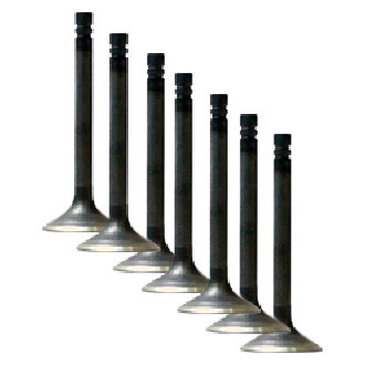 Vesrah® - Intake Valve