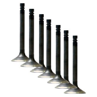 Vesrah® - Exhaust Valve